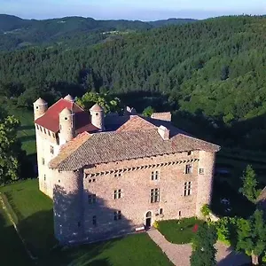 https://chateau-de-maisonseule.hotels-rhonealpes.com